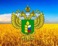 Министерством сельского хозяйства Саратовской области планируется поддержка развития кооперации по двум направлениям