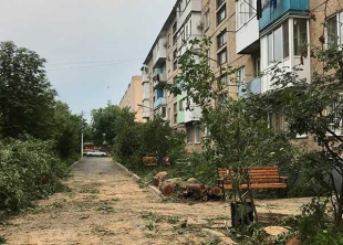 Саратовский регоператор вывез древесно-растительных отходов объемом больше десяти пятиэтажных домов