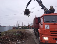 Саратовский регоператор в праздничные выходные вывез рекордные 11 тыс. кубометров древесно-кустарниковых отходов