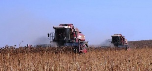 В Вольском районе собрали рекордный урожай зерновых и зернобобовых культур