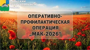 Оперативно-профилактическая операция "Мак-2026"