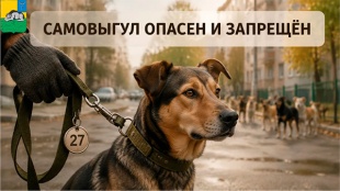Самовыгул животных запрещен!