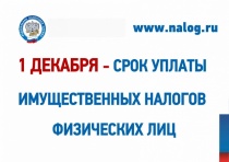 УФНС России по Саратовской области напоминает о необходимости уплаты имущественных налогов