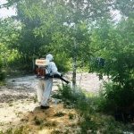 На меловом карьере произведена санобработка территории от насекомых