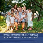 В России появится единый образец удостоверения многодетных семей