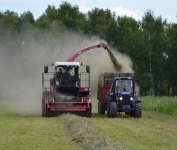 В Вольском районе заготовлено 7,0 тыс.тонн сена