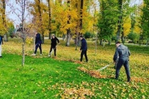 В Вольском парке на зиму законсервированы все аттракционы