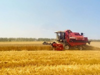 Аграрии Вольского района собрали первые 16 тысяч тонн зерна
